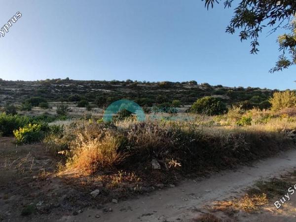land for sale pachna limassol 922162 image 5414234