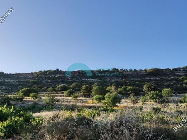 land for sale pachna limassol 922162 image 5414238