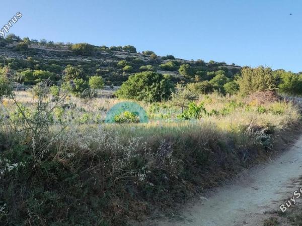 land for sale pachna limassol 922162 image 5414241