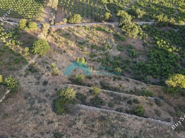 land for sale pachna limassol 922162 image 5414245