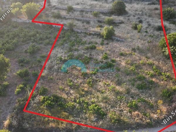 land for sale pachna limassol 922162 image 5414252