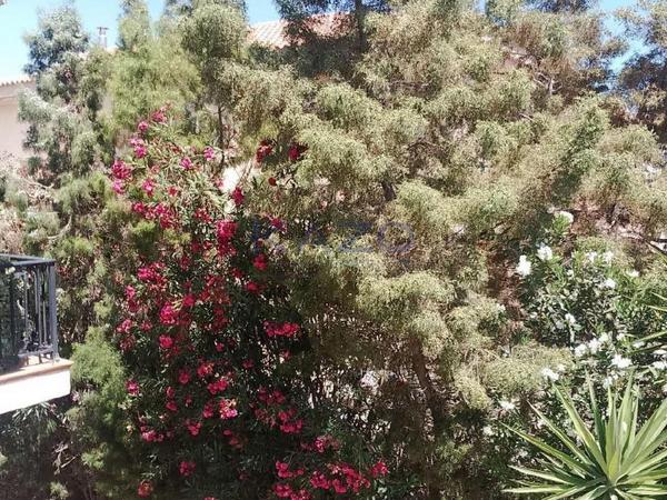 4 bedroom detached house for sale kalogiroi limassol 1940262 image 7690013
