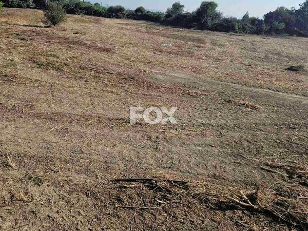 land for sale akrotiri limassol 1147262 image 5502503