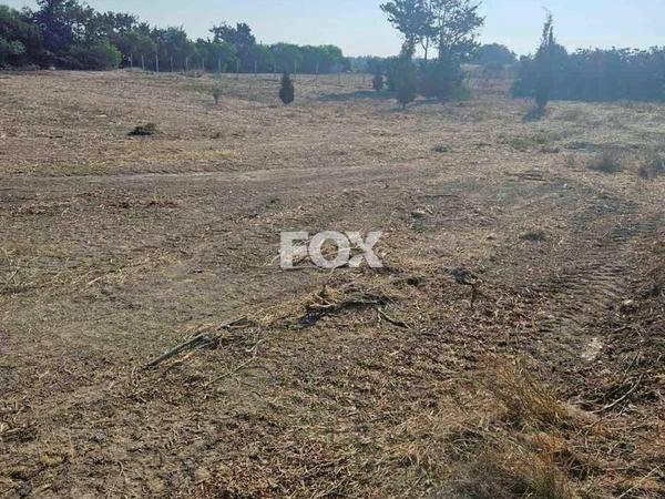 land for sale akrotiri limassol 1147262 image 5502505