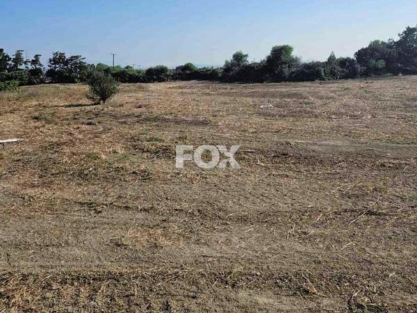 land for sale akrotiri limassol 1147262 image 5502507