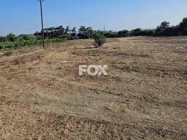 land for sale akrotiri limassol 1147262 image 5502509
