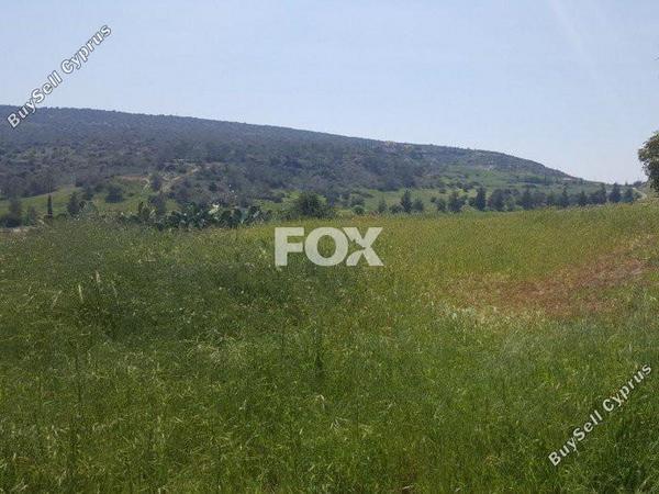 land for sale monagroulli limassol 1146262 image 5502016