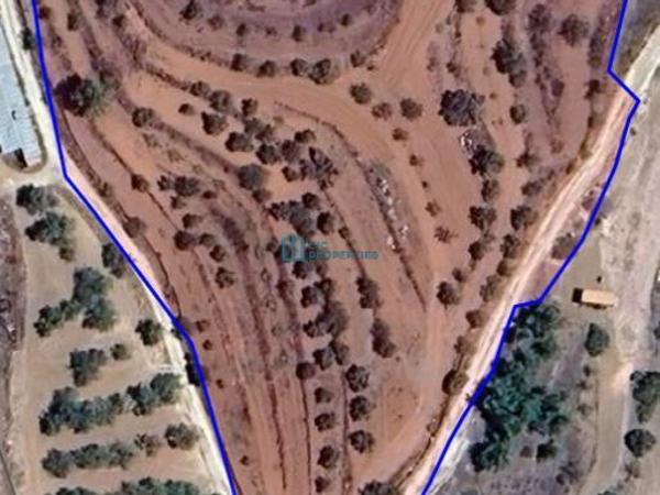land for sale xyliatos nicosia 8086262 image 13125949