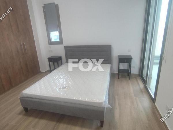 2 bedroom apartment for rent petrou kai pavlou limassol 7549362 image 14614505