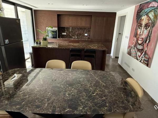 3 bedroom penthouse for sale agios nektarios limassol 8355362 image 14456485
