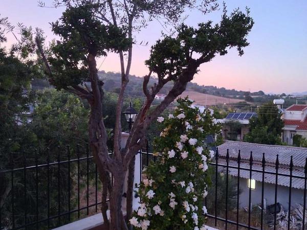 5 bedroom detached house for rent stroumbi paphos 8903362 image 17619345