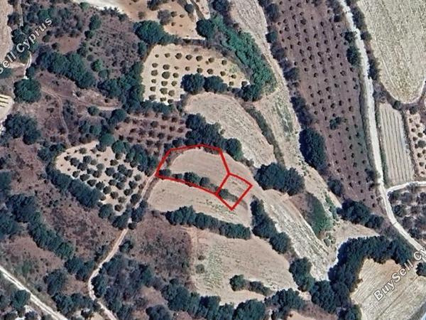 land for sale amargeti paphos 8630362 image 17113059