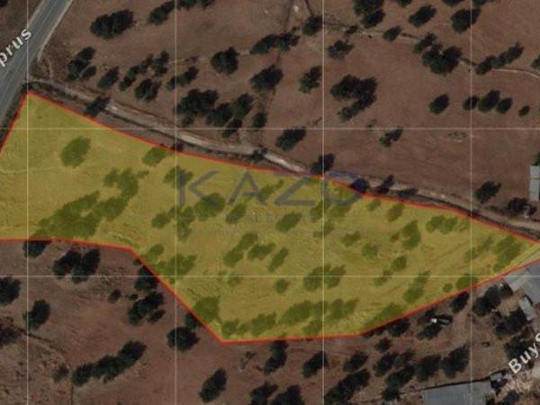 land for sale prastio avdimou limassol 1735362 image 13608465