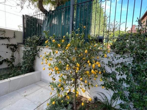 2 bedroom ground floor apartment for sale agios tychonas limassol 7732462 image 10410149