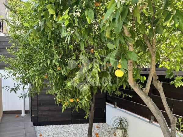 5 bedroom detached house for sale parekklisia limassol 1864462 image 12586464