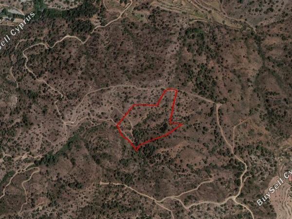 land for sale kalo chorio lemesou limassol 894462 image 11082340