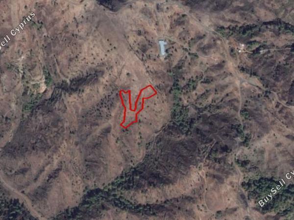 land for sale pigenia nicosia 829462 image 6571563