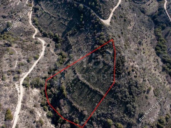 plot for sale dora limassol 7871462 image 11381367