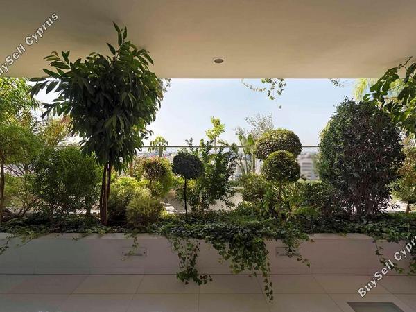 studio office for rent nicosia municipality nicosia 1802462 image 14767613
