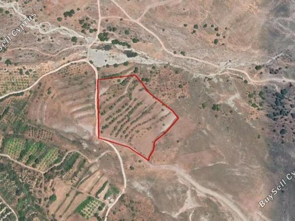 land for sale kelokedara paphos 8649562 image 16685822
