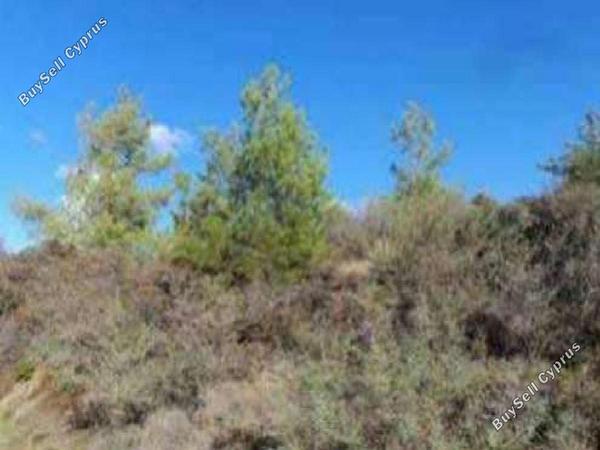 land for sale pigenia nicosia 8726562 image 16332176