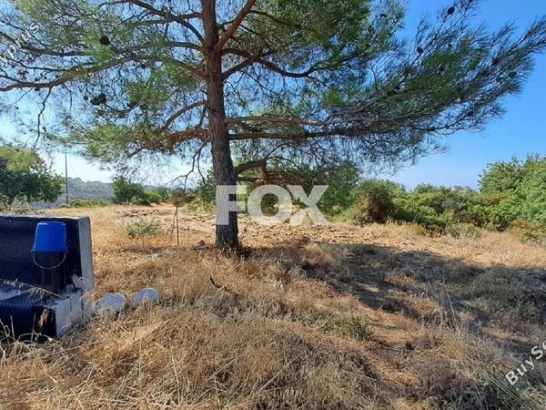 plot for sale souni zanakia limassol 1341562 image 5565221