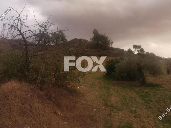 land for sale agios therapon limassol 1731662 image 5691547