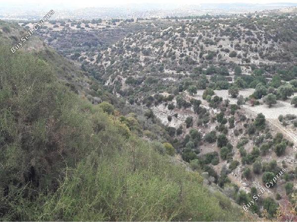 land for sale avdimou limassol 8785662 image 16656143