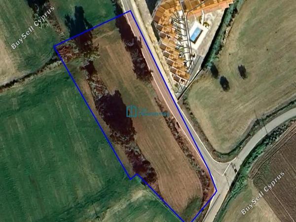 plot for sale mazotos larnaca 8382662 image 14712853