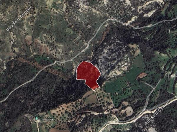 land for sale koili paphos 8628762 image 17009813