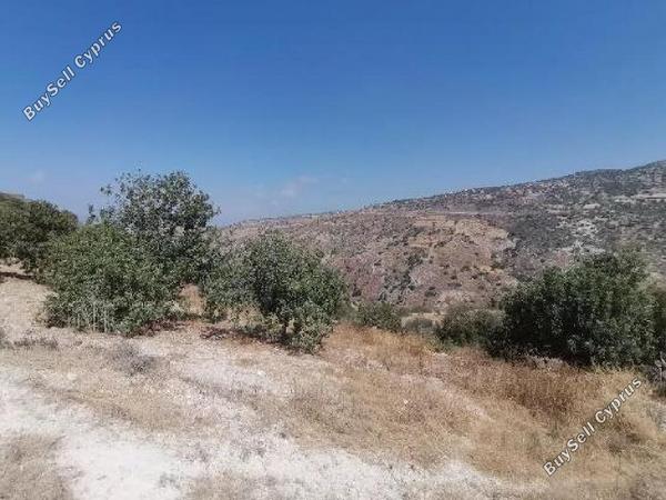 land for sale koili paphos 8628762 image 17207469