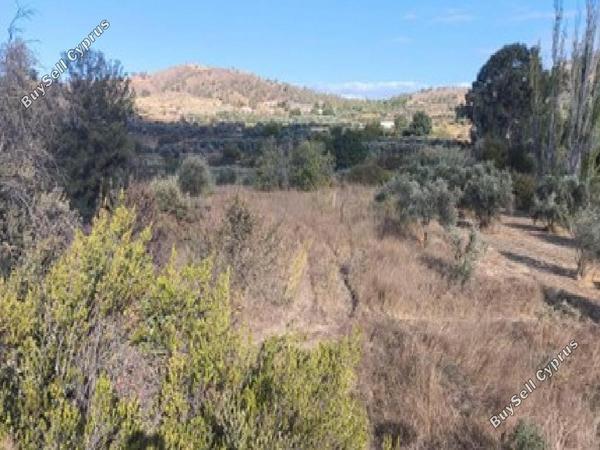 land for sale korakou nicosia 1210762 image 17158984