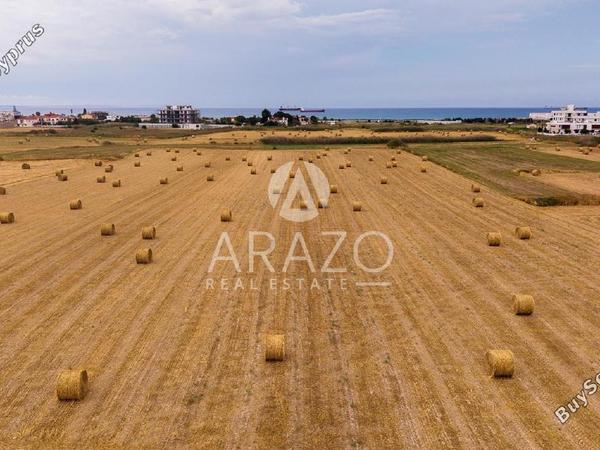 land for sale livadia larnacas larnaca 8675762 image 16526876