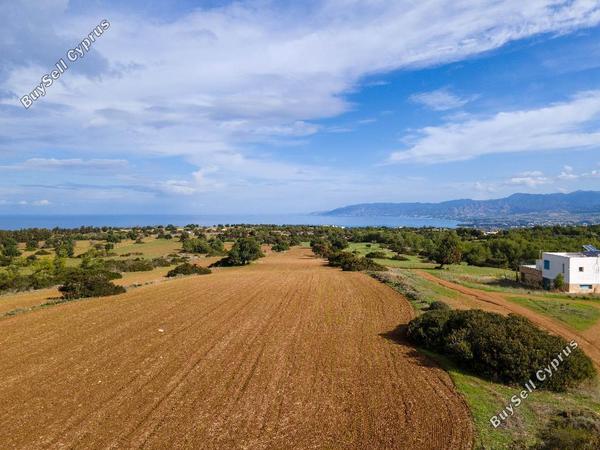 land for sale neo chorio paphos 945762 image 15600264