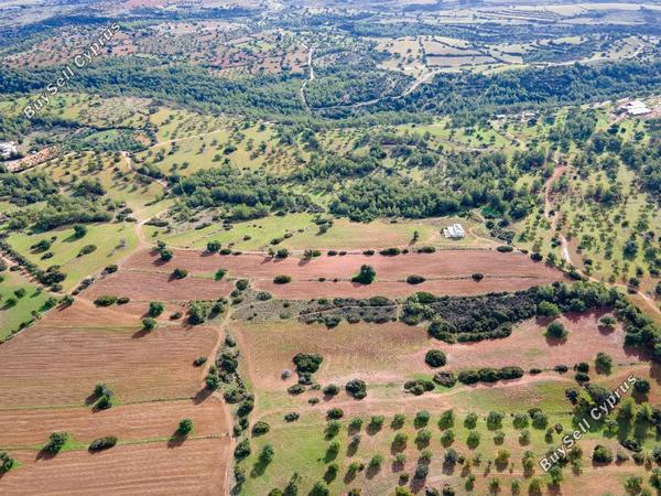 land for sale neo chorio paphos 945762 image 15600267