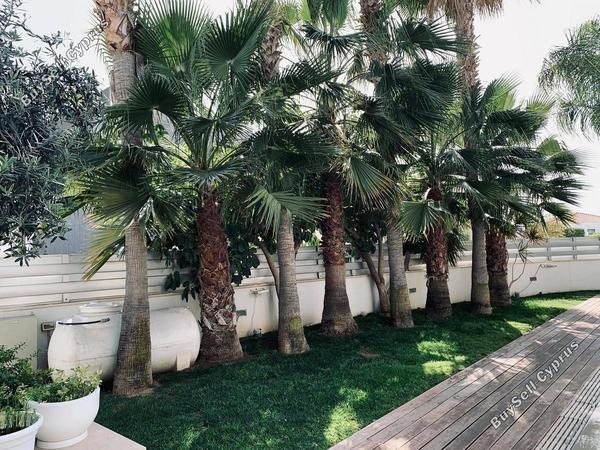 5 bedroom detached house for sale agios tychonas limassol 794862 image 640501