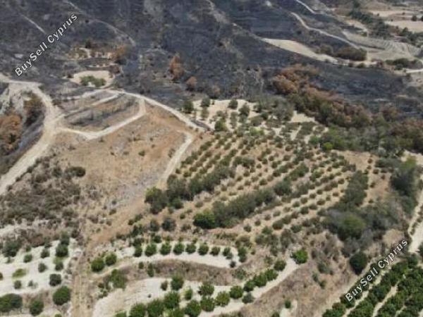 land for sale giolou paphos 1800862 image 15597974