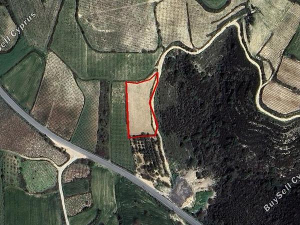 land for sale kathikas paphos 1882862 image 7273340