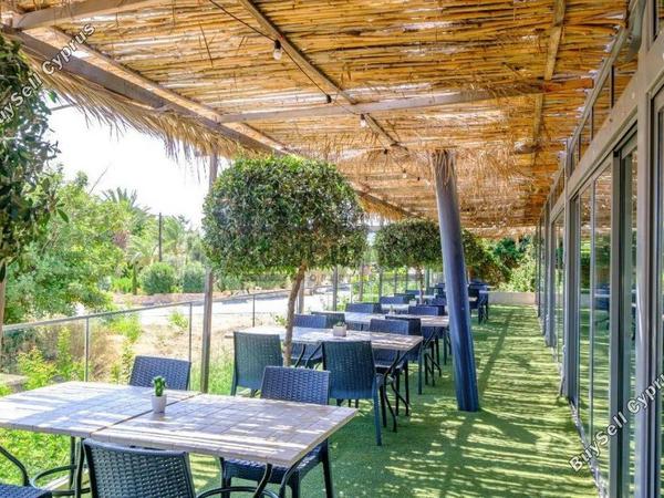 1 bedroom apartment for sale poli chrysochous paphos 8748962 image 16470152