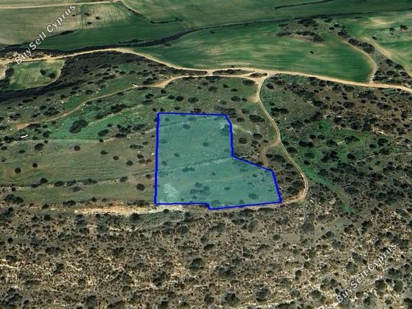 land for sale agios theodoros larnacas larnaca 1759962 image 4843562