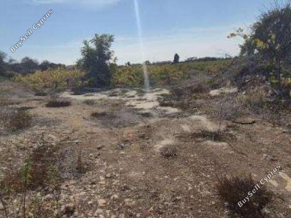 land for sale kathikas paphos 8542962 image 16305588
