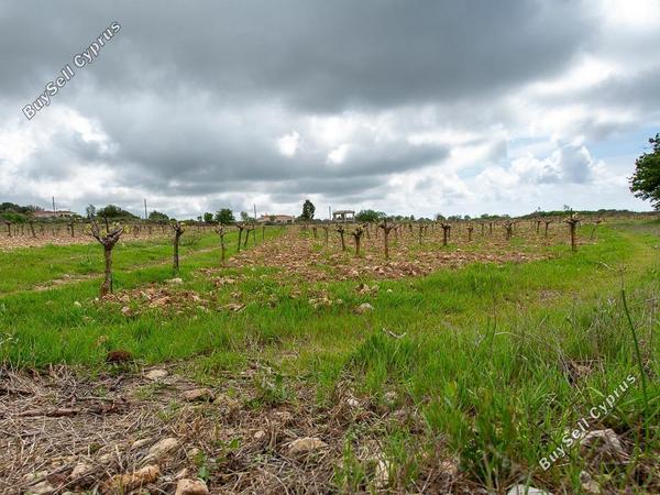 land for sale kathikas paphos 8542962 image 16305589