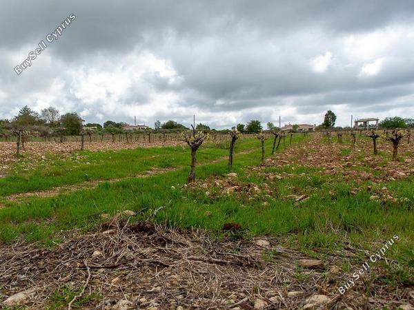 land for sale kathikas paphos 8542962 image 16305590