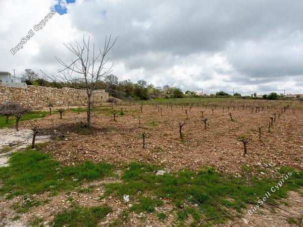 land for sale kathikas paphos 8542962 image 16305592