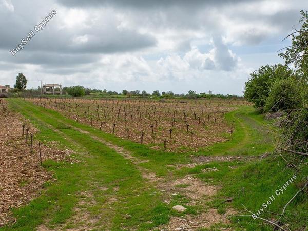 land for sale kathikas paphos 8542962 image 16305593