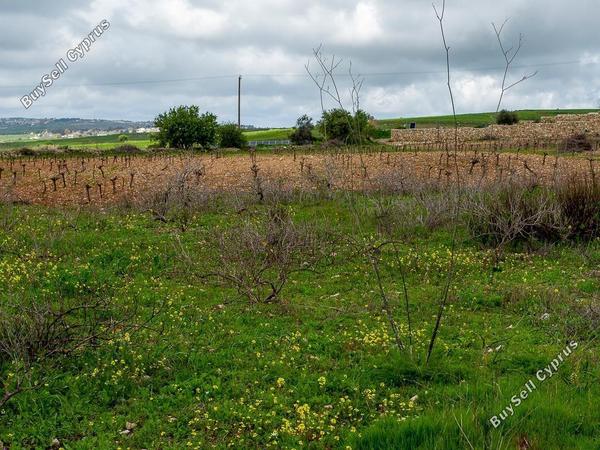 land for sale kathikas paphos 8542962 image 16305597