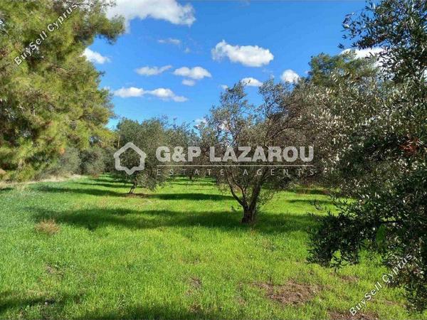 land for sale lythrodontas nicosia 8042962 image 13512248