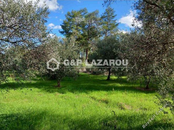 land for sale lythrodontas nicosia 8042962 image 13512249