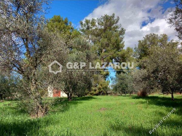 land for sale lythrodontas nicosia 8042962 image 13512251
