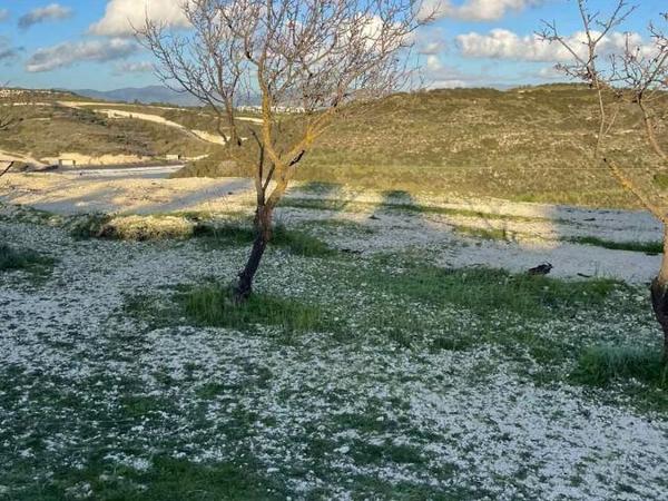 land for sale tsada paphos 1433962 image 5584264